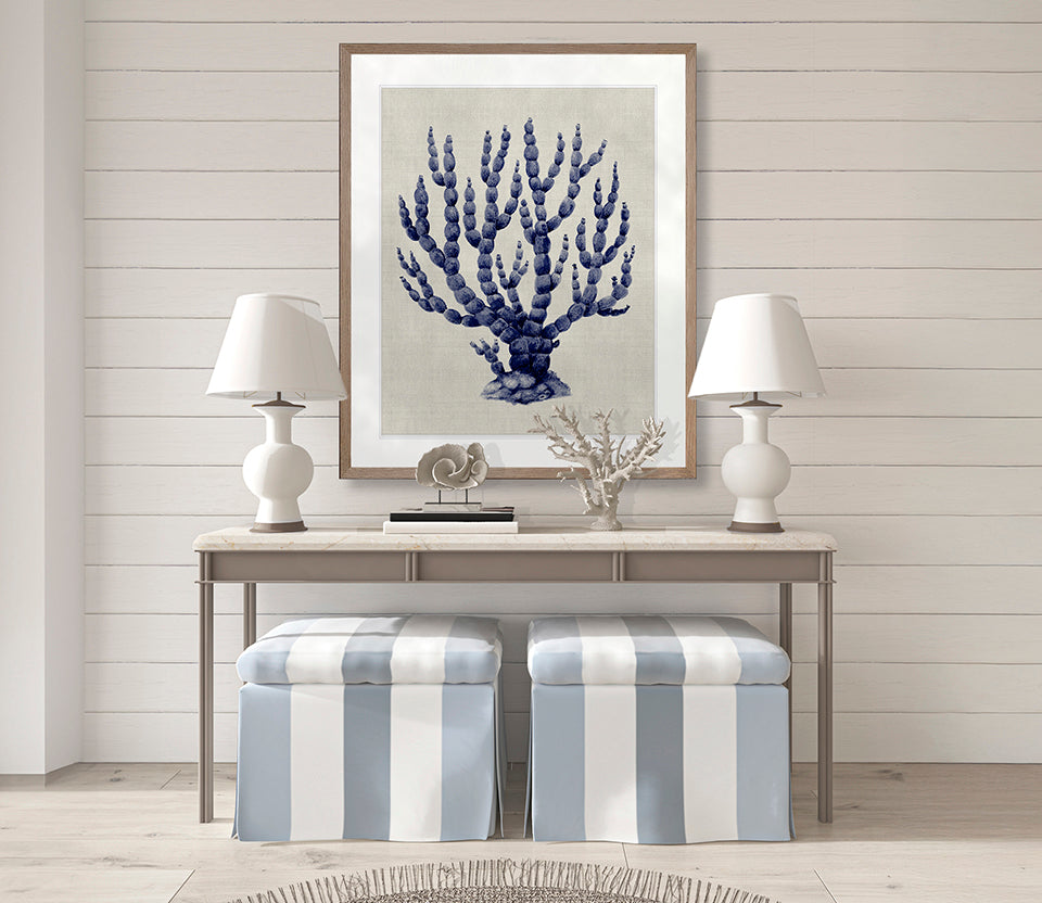 Coral SPLENDOUR (Indigo) IX