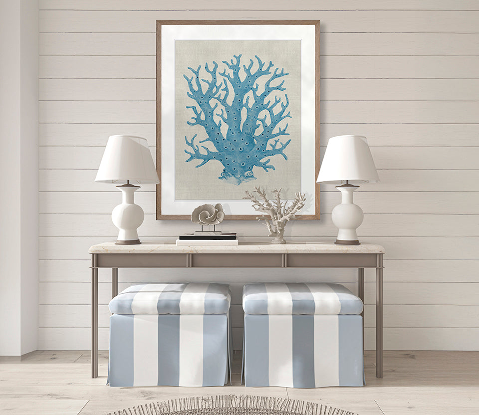 Coral SPLENDOUR (Pale Blue) XIII