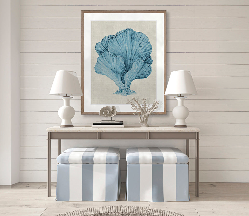 Coral SPLENDOUR (Pale Blue) XIV