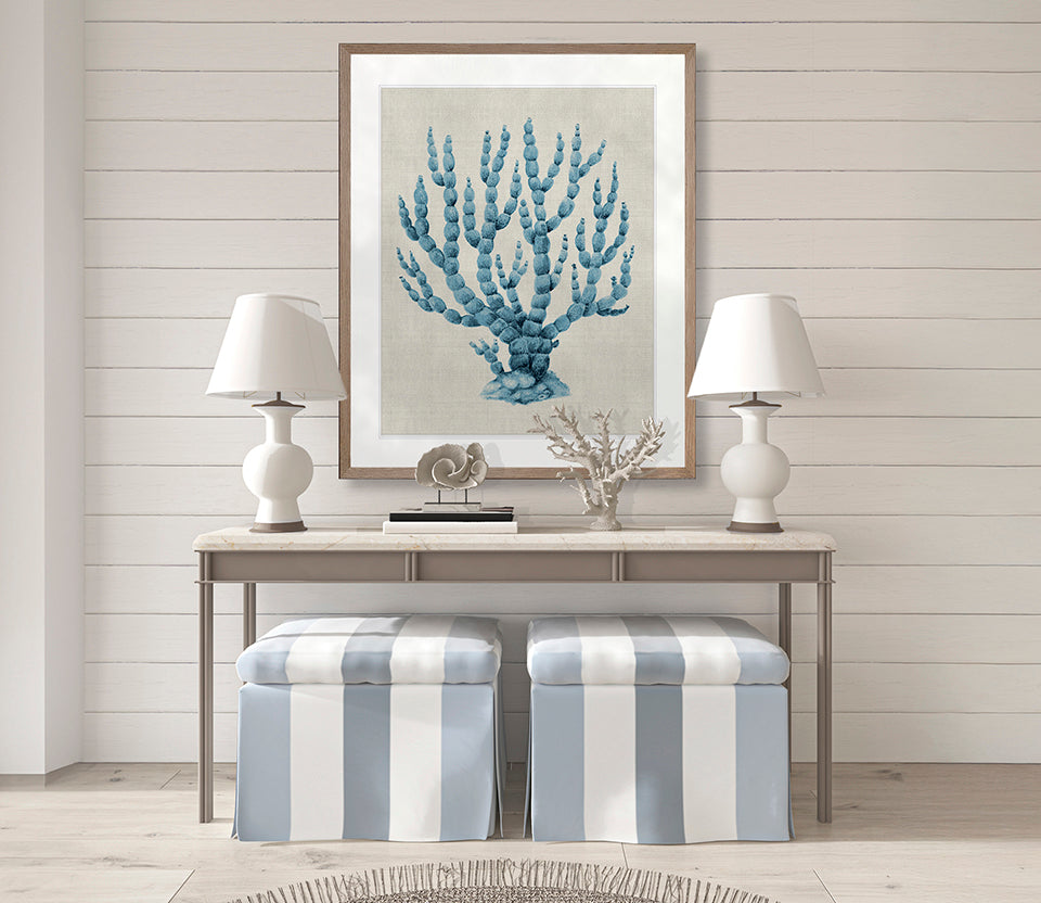 Coral SPLENDOUR (Pale Blue) XV
