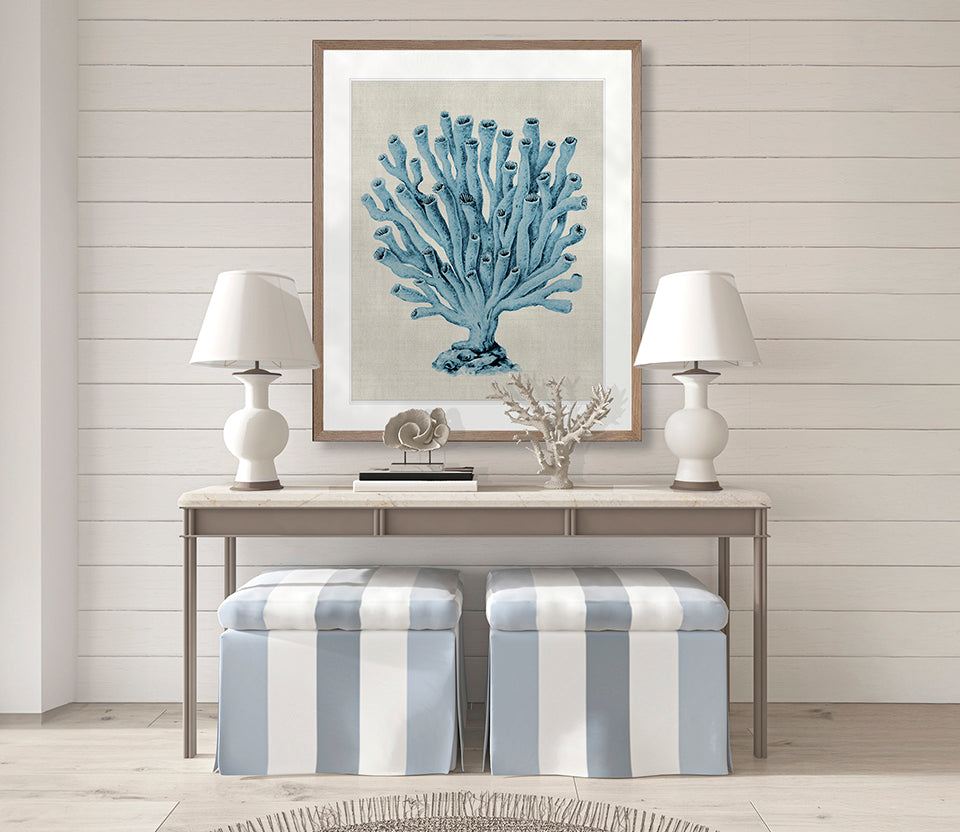 Coral SPLENDOUR (Pale Blue) XVII