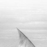 menl04_3