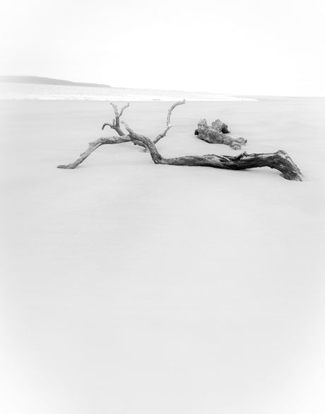 Mercer Black & White VIII