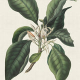 mich02-c_3