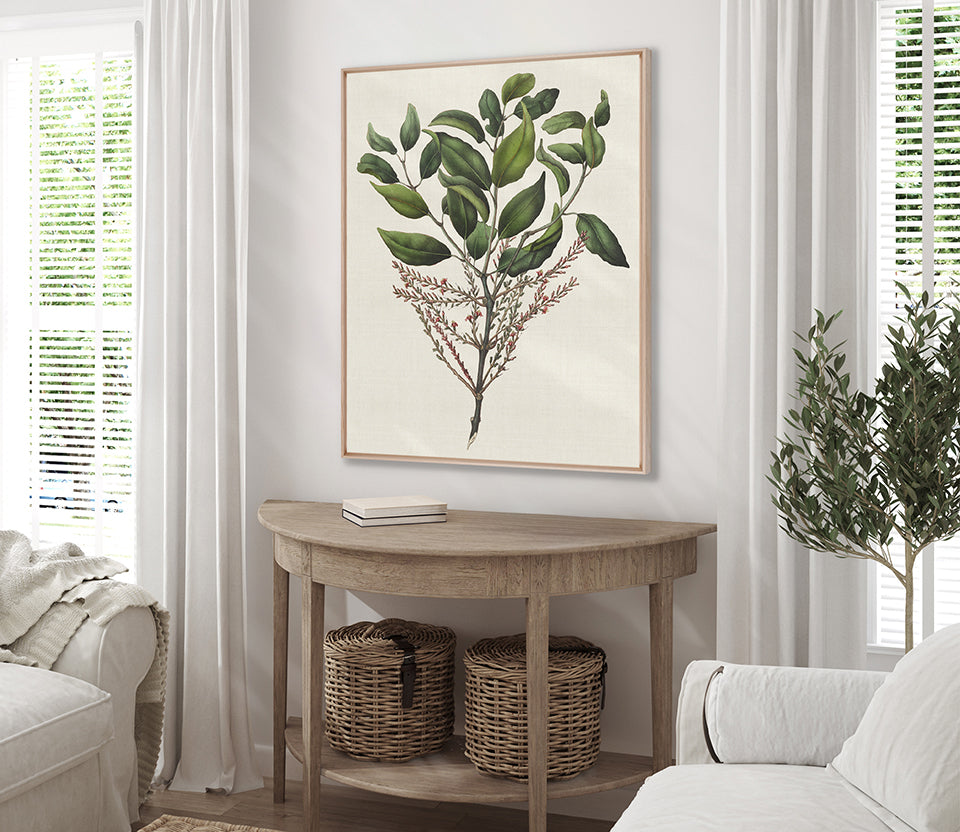 Botanical Bliss III (Canvas)