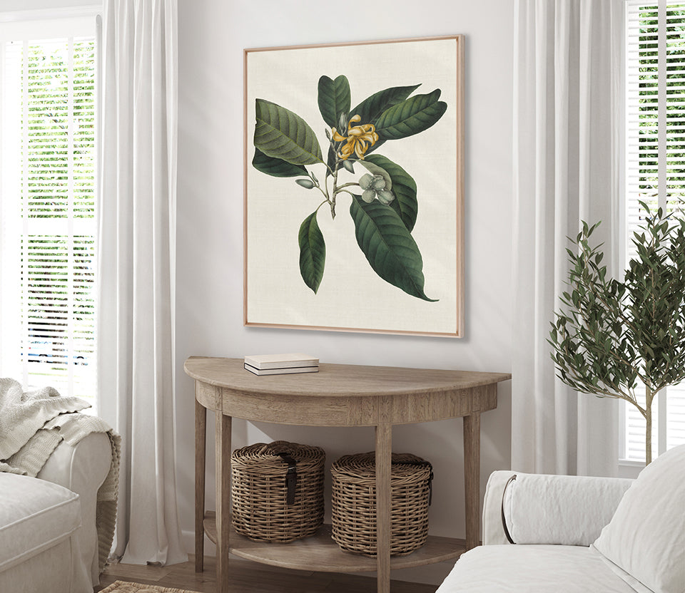 Botanical Bliss VI (Canvas)
