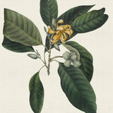mich06-c_3
