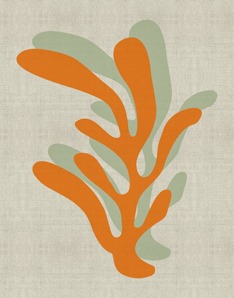 Modern Coral IV