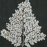mop08_3