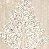 mop11_3