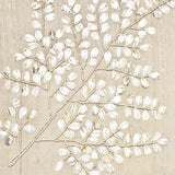 mop12_3