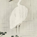 na01_3