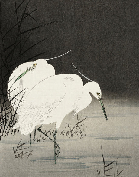 Naoko Bird IV