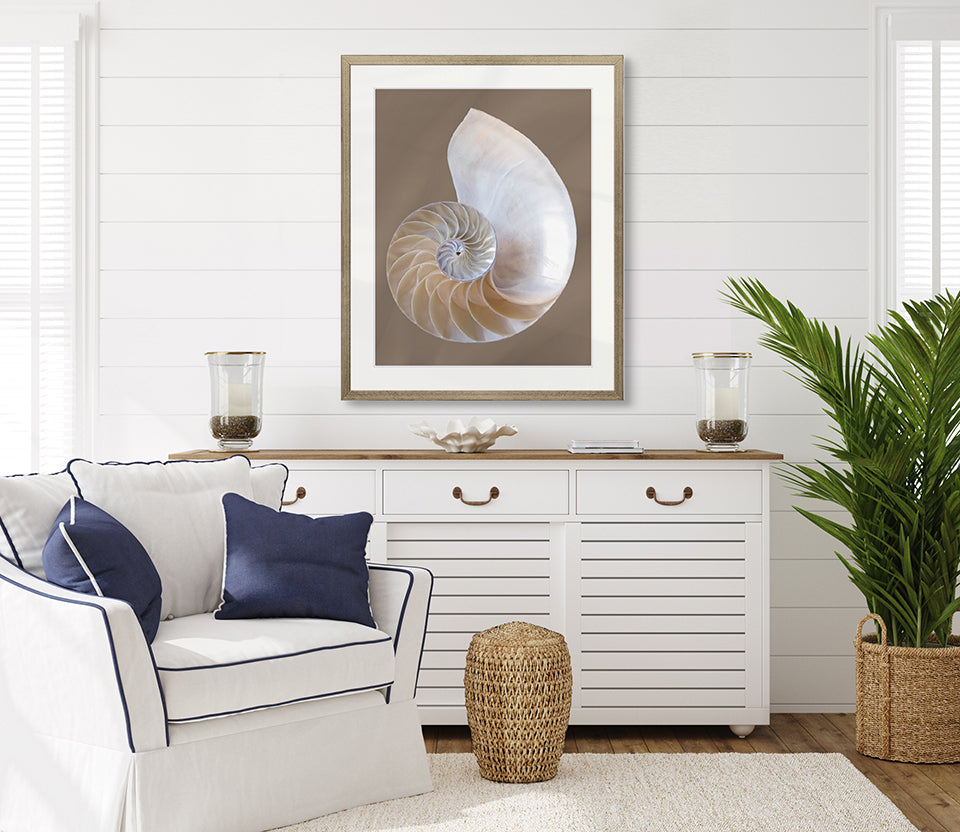 Nautilus Shell III