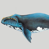 ocean02_3