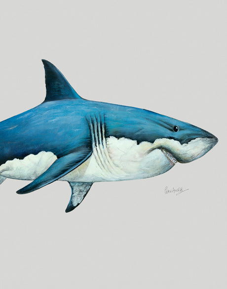 Great White Shark