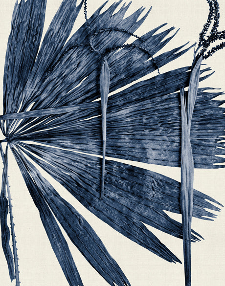 Asiatic Palm III (Canvas)