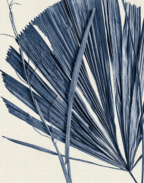 Asiatic Palm IV