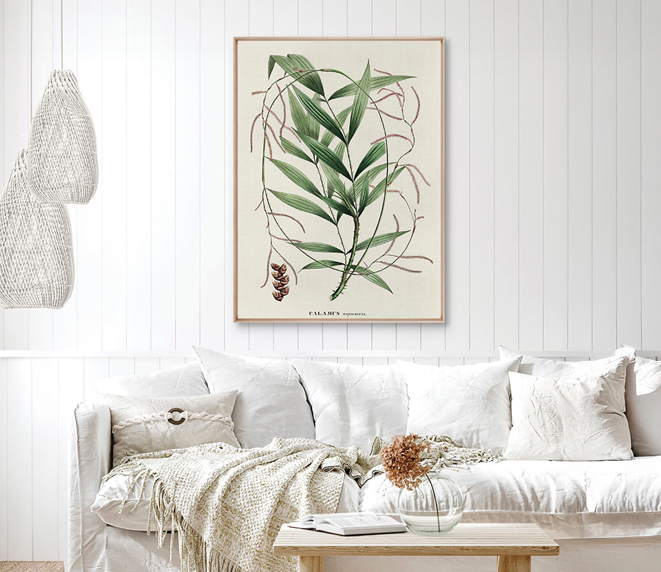 Palme D'Or Specimen I (Canvas)