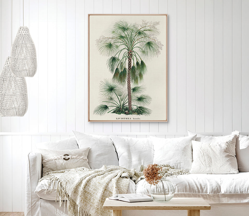 Palme D'Or Specimen IV (Canvas)