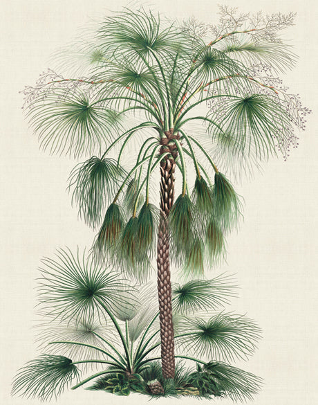 Palme D'Or Specimen IV (Canvas)
