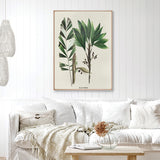 palme05-c-l_2