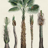 palme06-c-l_3