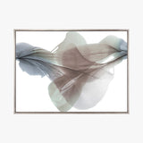parfol01-c_4