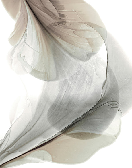 Foliage Sculpture IV (Canvas)