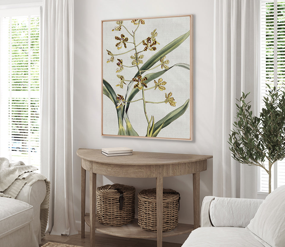 Orchid Beauty II (Canvas)