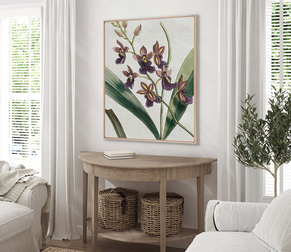 Orchid Beauty IV (Canvas)