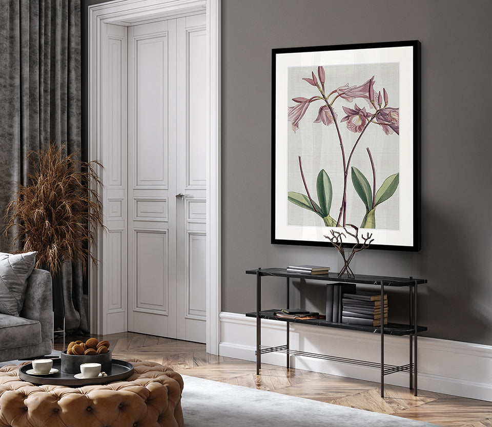 Orchid Beauty V