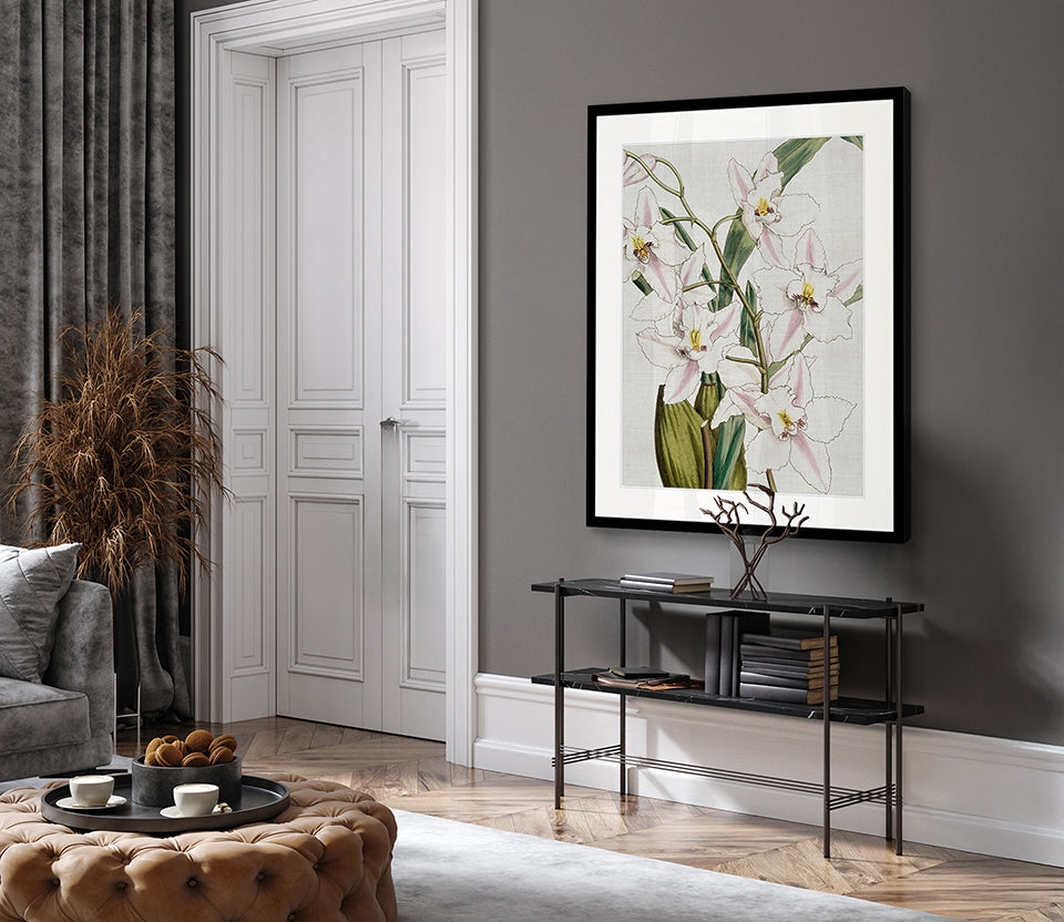 Orchid Beauty VI