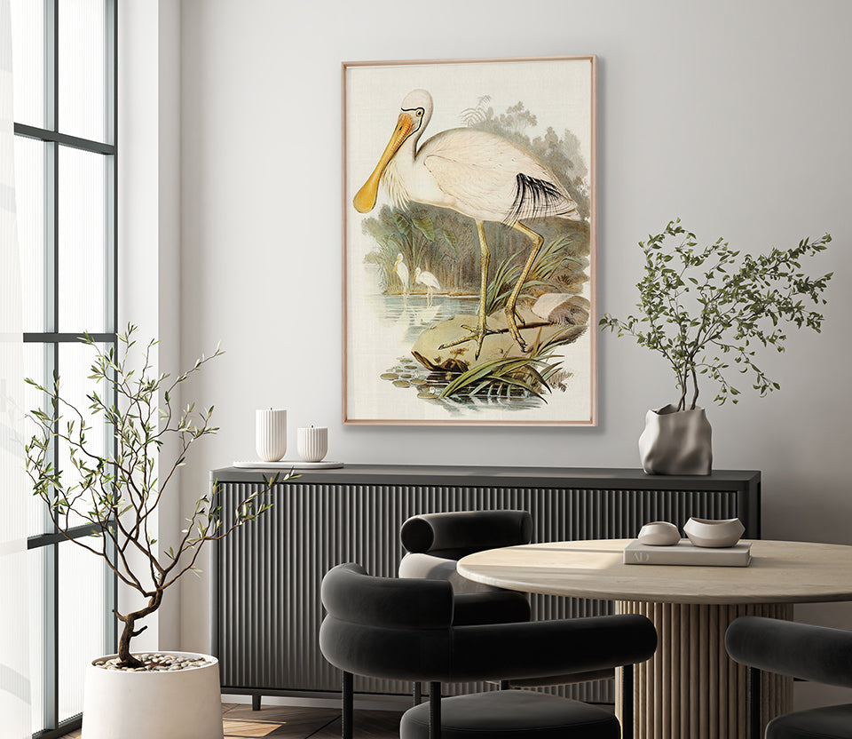 Pembroke Bird VI (Canvas)