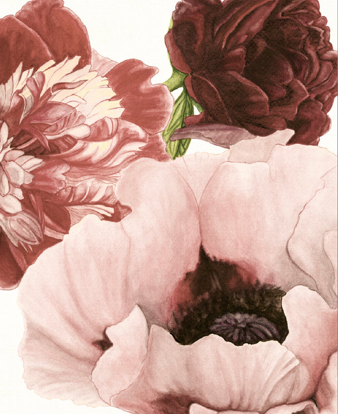 Peonies & Roses I