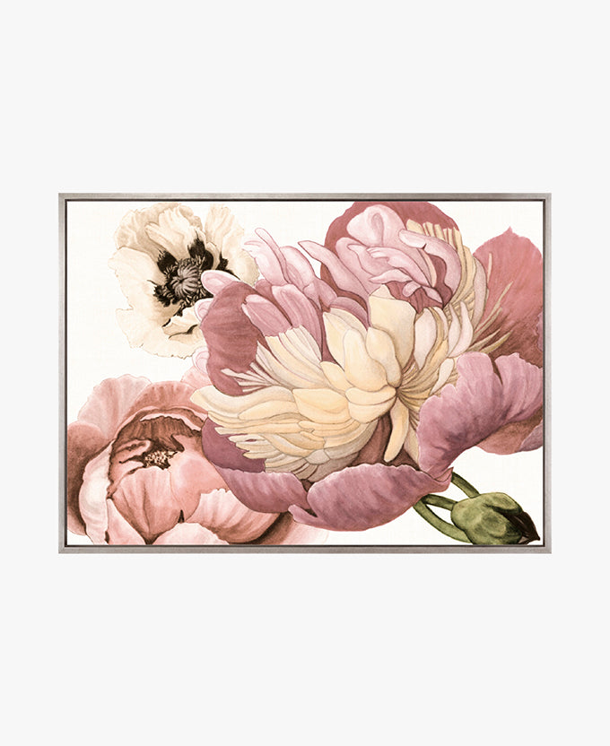 Peonies & Roses II (Canvas)
