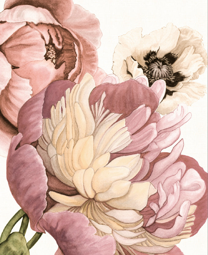 Peonies & Roses II