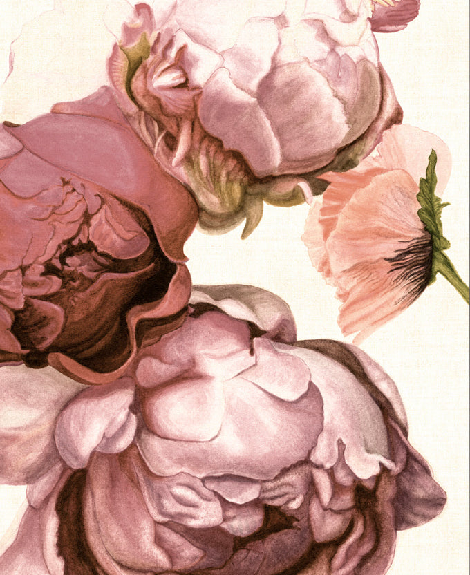 Peonies & Roses III (Canvas)