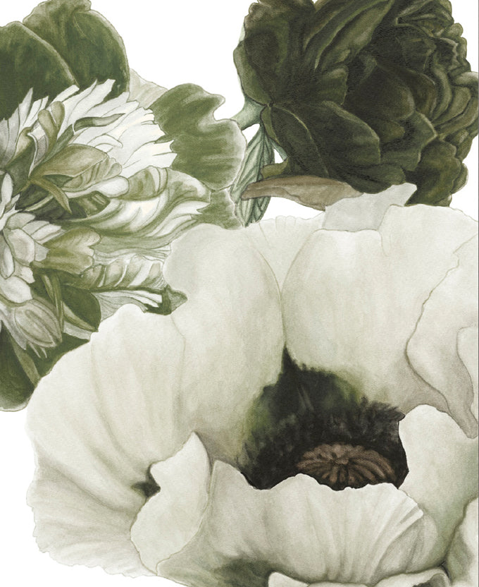Peonies & Roses V (Canvas)