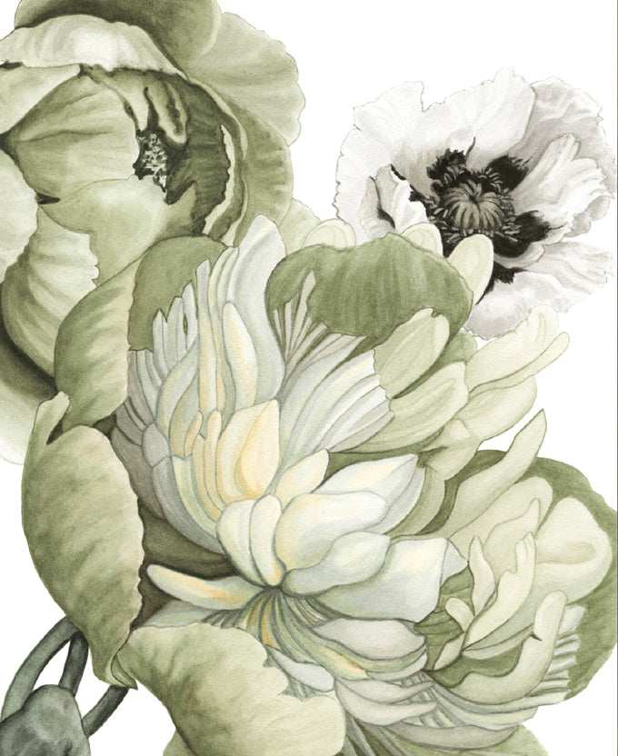 Peonies & Roses VI