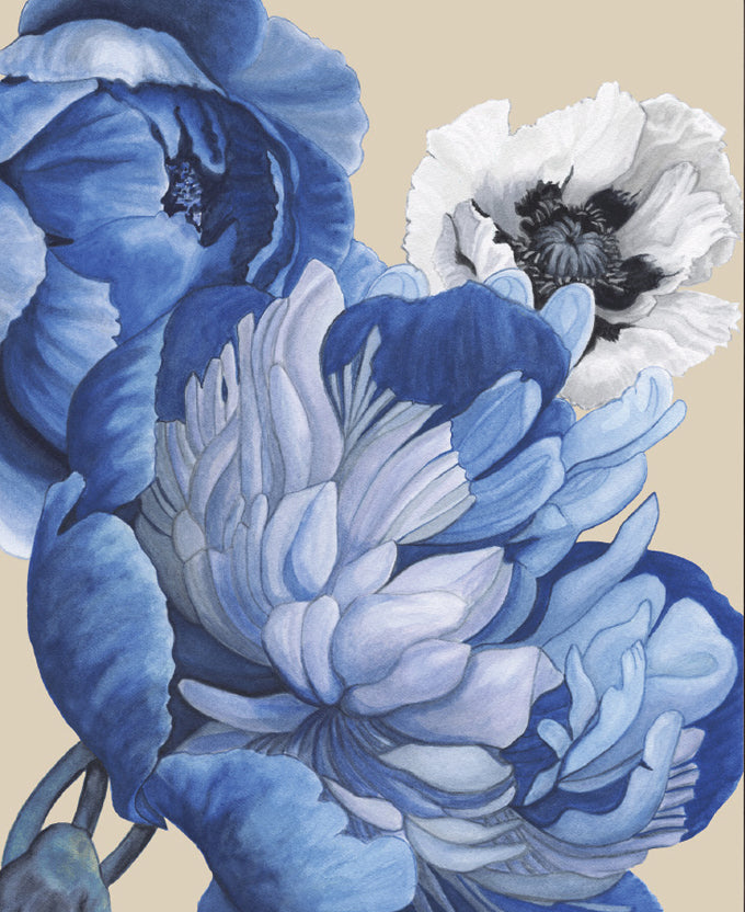 Peonies & Roses X (Canvas)