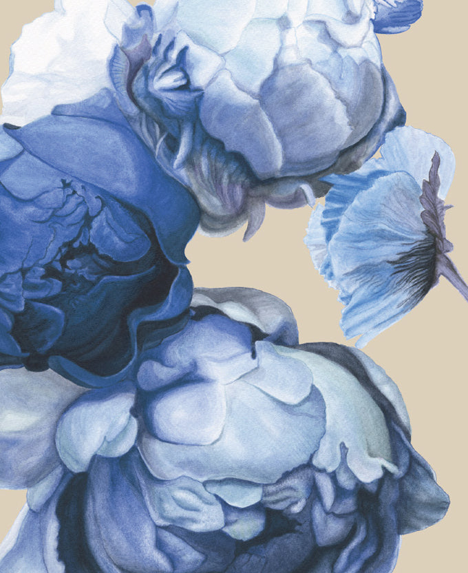 Peonies & Roses XI (Canvas)
