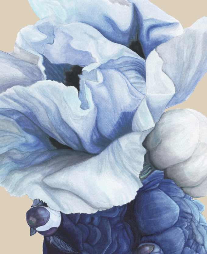 Peonies & Roses XII (Blue)