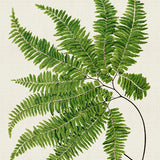pf01_3