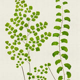 pf02_3