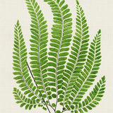 pf04-c-l_3