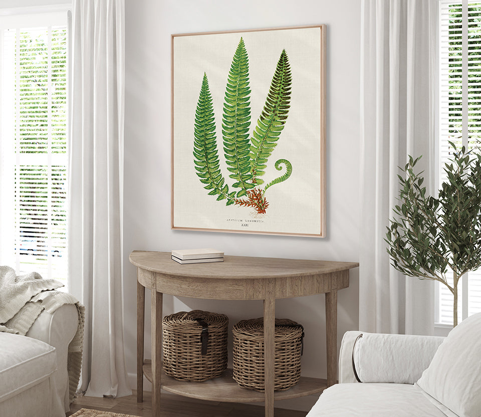 Lush Fern V (Canvas)