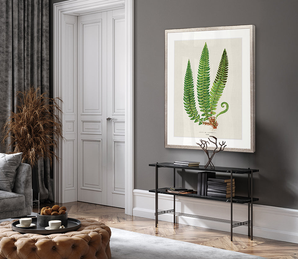 Lush Fern V