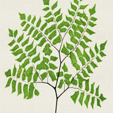 pf06_3