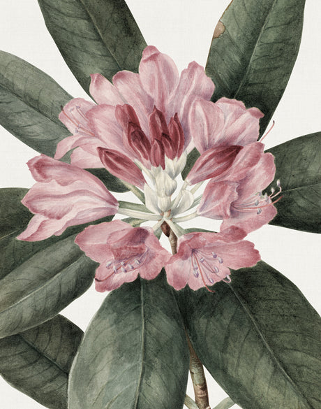 Phillipson Floral I